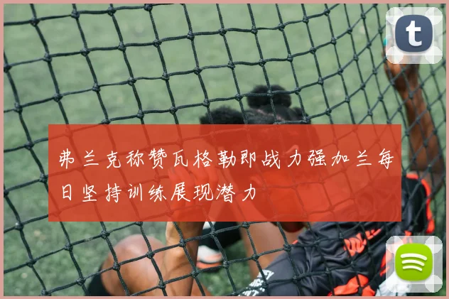 弗兰克称赞瓦格勒即战力强加兰每日坚持训练展现潜力