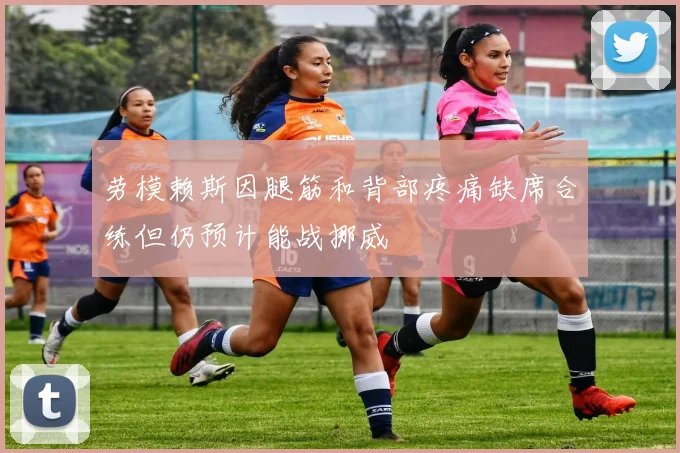 劳模赖斯因腿筋和背部疼痛缺席合练但仍预计能战挪威